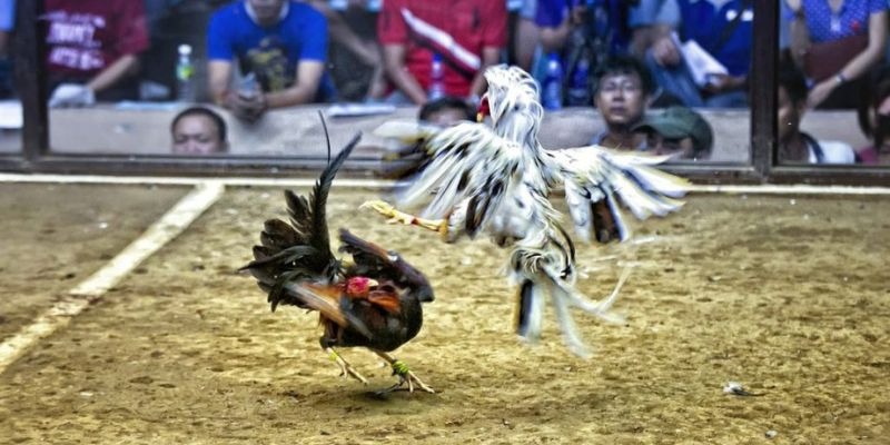 vietjack 9 ﻿đăng nhập lô đề uy tín