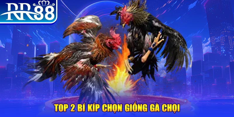 vietjack 9 bắn cá h5