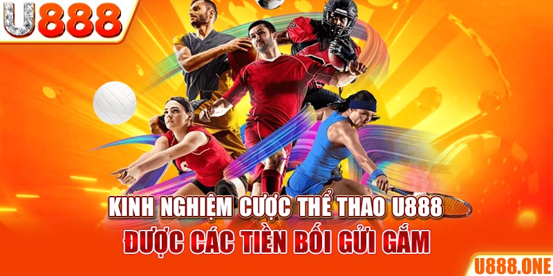 vietjack 9 ÁT CHỦ BÀI GIÀNH LẤY ZHUANG NIUNIU ( XEM 3 LÁ )