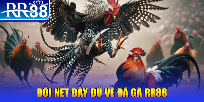 vietjack 9 gà chọi hoà phong