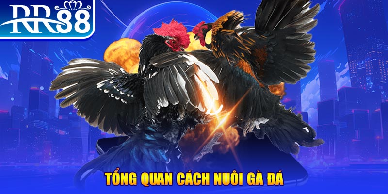 vietjack 9 xổ số thứ ba