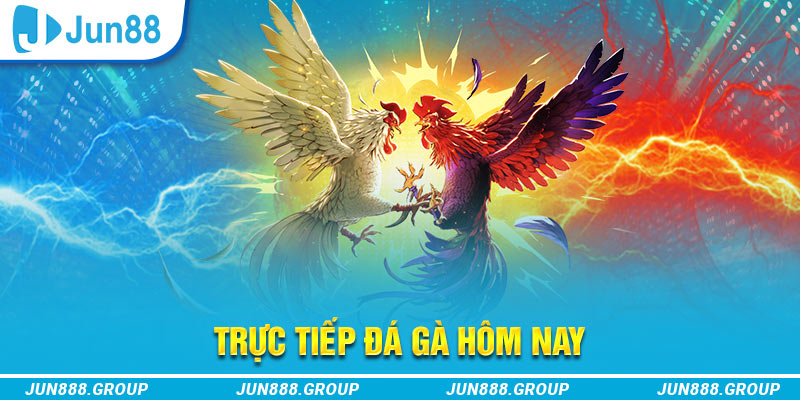 vietjack 9 trực tiếp đá gà thomo