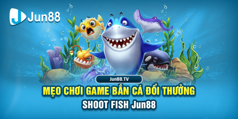 vietjack 9 tải game đánh bài online về máy tính