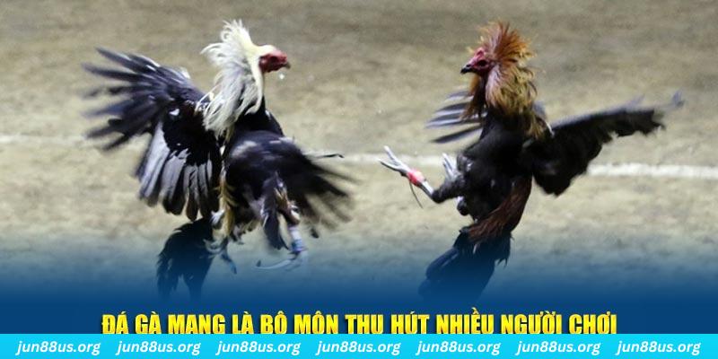 vietjack 9 xổ số long an