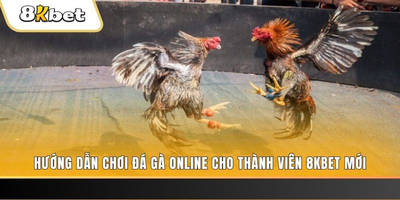 vietjack 9 nổ hũ đổi thưởng . ai