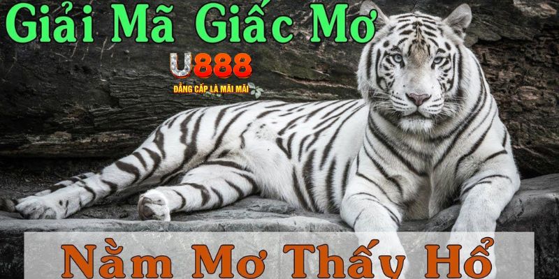 vietjack 9 Bài Poker Joker