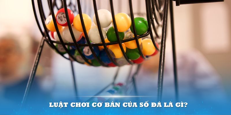 vietjack 9 Đĩa màu ace