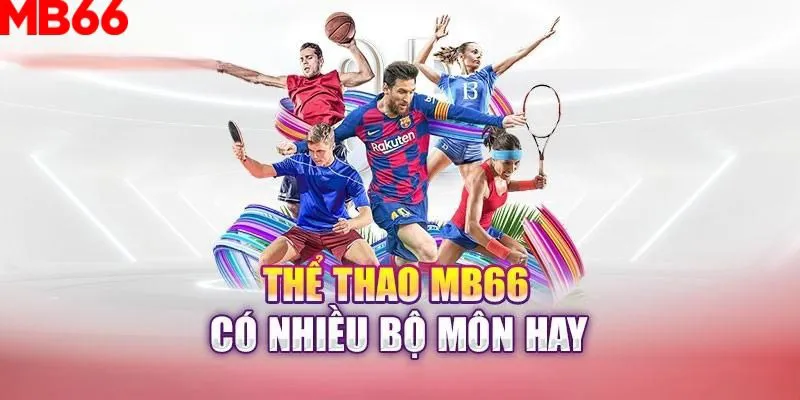 vietjack 9 slot là gì nghĩa