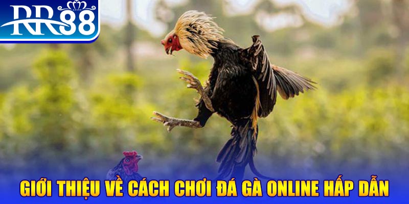 vietjack 9 what is a video slot