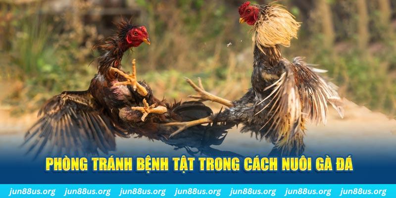 vietjack 9 natural” trong baccarat nghĩa là gì？