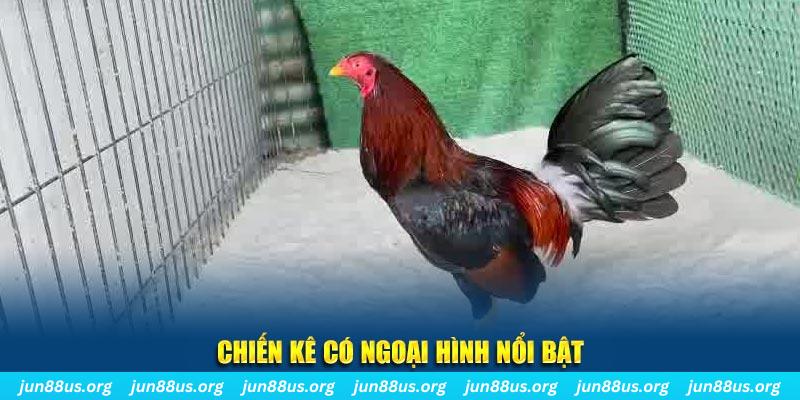 vietjack 9 nhạc slot là gì